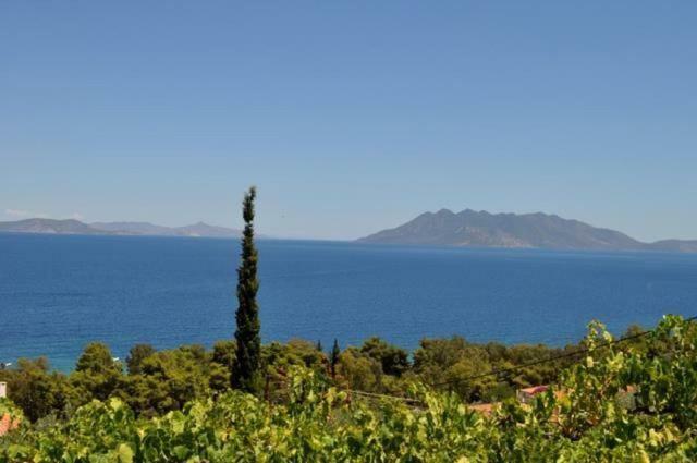 Villa Krassi Epidaurus Ngoại thất bức ảnh