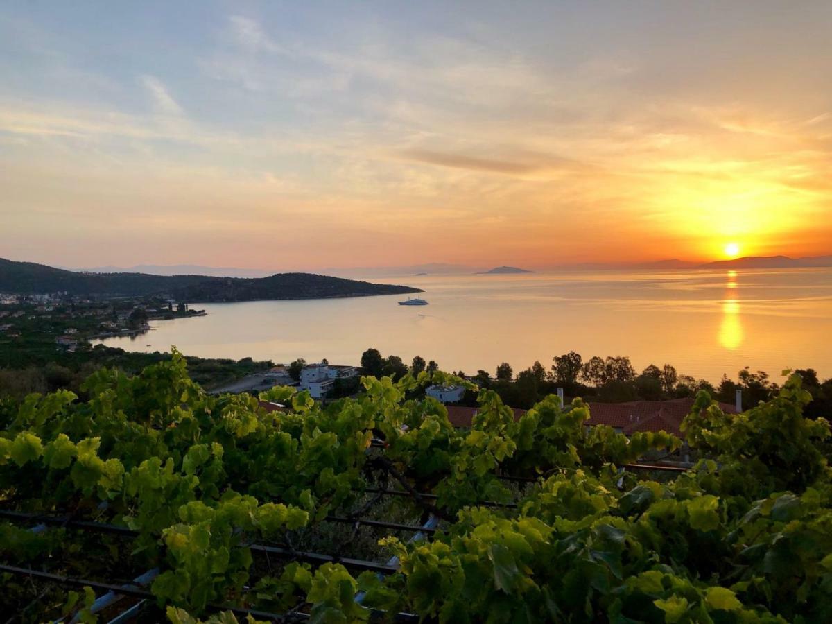 Villa Krassi Epidaurus Ngoại thất bức ảnh